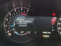 Ford Edge Titanium Business-Paket AHK Automatik 4x4 Noir - thumbnail 13