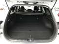 Kia Ceed SW / cee'd SW Sportswagon 1.0 T-GDi DynamicPlusLine 120pk 7 JAAR Grijs - thumbnail 8