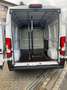 Fiat Ducato Ducato Maxi L2 Weiß - thumbnail 12