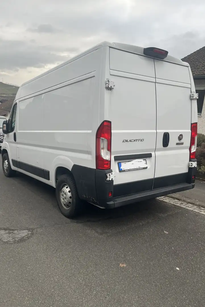 Fiat Ducato Ducato Maxi L2 Weiß - 2