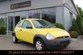 Ford Ka/Ka+ 1.3 Viva X, 1.Hand, TÜV neu, Allwetterreifen Gelb - thumbnail 3