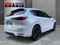 Mazda CX-60 254PS Homura AWD 8AT Bose,360°, Matrix-LED Weiß - thumbnail 5