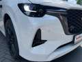 Mazda CX-60 254PS Homura AWD 8AT Bose,360°, Matrix-LED Weiß - thumbnail 14