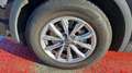 Audi Q5 II 35 TDI 163 S tronic 7 BUSINESS EXECUTIVE Bleu - thumbnail 9