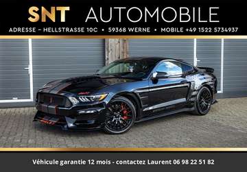 Pack Shelby Tout compris hors homologation 4500e