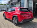 Lexus UX 300h F Sport Design ACC+LED+Navi+SHZ+2xKlima - thumbnail 5