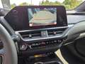 Lexus UX 300h F Sport Design ACC+LED+Navi+SHZ+2xKlima - thumbnail 13