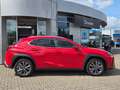 Lexus UX 300h F Sport Design ACC+LED+Navi+SHZ+2xKlima - thumbnail 4