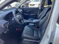 Honda ZR-V 2.0 e:HEV Advance | AUTOMAAT | APPLE CARPLAY | PAN Blanc - thumbnail 7
