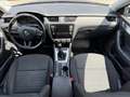 Skoda Octavia 1.6 TDI 4x4 Grau - thumbnail 11