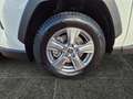 Toyota RAV 4 RAV4 - 2.5 l Hybrid 4x2 Business Edition *NAVI* Alb - thumbnail 15