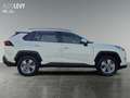 Toyota RAV 4 RAV4 - 2.5 l Hybrid 4x2 Business Edition *NAVI* Weiß - thumbnail 7