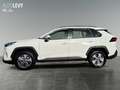 Toyota RAV 4 RAV4 - 2.5 l Hybrid 4x2 Business Edition *NAVI* Weiß - thumbnail 3