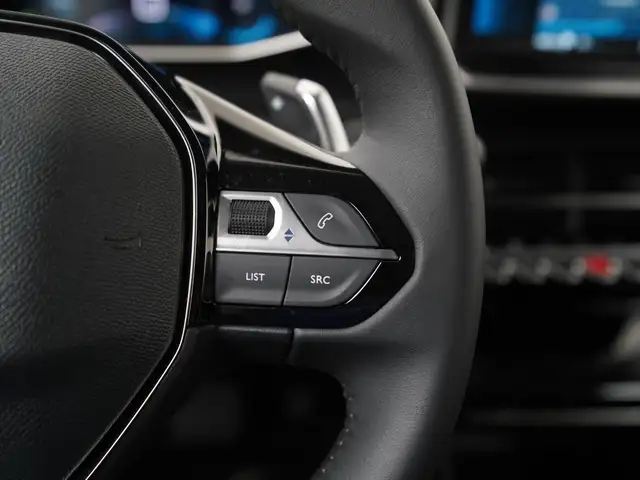 Peugeot 2008 view 10