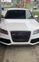 Audi RS5 RS5 Coupé 4,2 FSI quattro S-tronic Weiß - thumbnail 8
