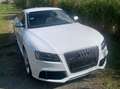 Audi RS5 RS5 Coupé 4,2 FSI quattro S-tronic Weiß - thumbnail 13