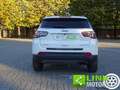 Jeep Compass 1.4 MultiAir 170 CV aut. 4WD Limited Bianco - thumbnail 7
