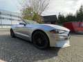 Ford Mustang Mustang Cabrio 2.3 Eco Boost Silver - thumbnail 6