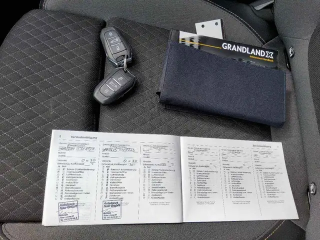 Opel Grandland X view 6