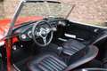 Austin-Healey 100 100/6 "A fast tour-special" "A fast tour-special" Piros - thumbnail 3