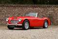 Austin-Healey 100 100/6 "A fast tour-special" "A fast tour-special" Piros - thumbnail 1