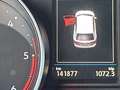 Volkswagen Tiguan 1.6 tdi business 115cv Grigio - thumbnail 12