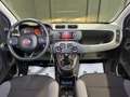 Fiat Panda 1.2 Lounge s SUPER PREZZO Grigio - thumbnail 7