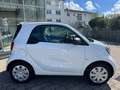 smart forTwo +JungeSterne-2027+Allwetter Blanc - thumbnail 4
