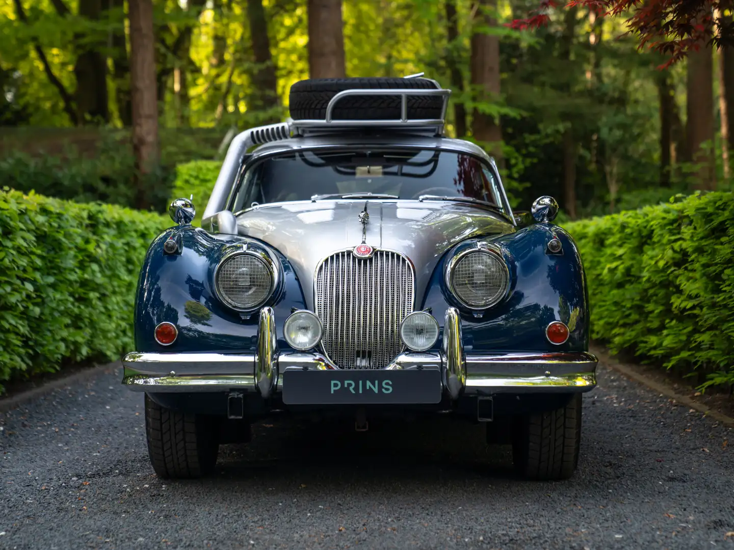Jaguar XK 150 | Rally Prepared Bleu - 2