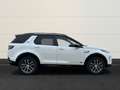 Land Rover Discovery Sport D165 Dynamic SE+AHK+Pano+TFT+ACC White - thumbnail 5