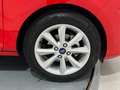 Ford Fiesta 1.1 IT-VCT 55KW TREND 75 5P Rojo - thumbnail 8