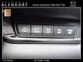 Mazda CX-30 Selection 150 Design|Activ|Bose|Navi Blau - thumbnail 10