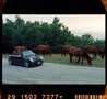 MINI Cooper S Cabrio Chili - thumbnail 4