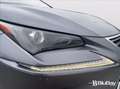 Lexus NX 200t NX Hybrid 4WD Luxury Gri - thumbnail 17