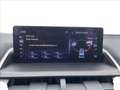 Lexus NX 200t NX Hybrid 4WD Luxury Grigio - thumbnail 6
