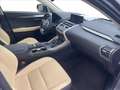 Lexus NX 200t NX Hybrid 4WD Luxury Grigio - thumbnail 8
