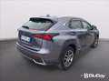 Lexus NX 200t NX Hybrid 4WD Luxury Grigio - thumbnail 10