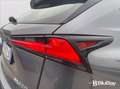 Lexus NX 200t NX Hybrid 4WD Luxury Gri - thumbnail 18