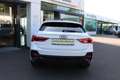 Audi Q3 35 TDI admired Weiß - thumbnail 5