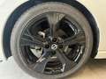 Nissan Micra 1.0 dig-t N-Sport 117cv 2020 PELLE NAVI TELECAMERA Bianco - thumbnail 25