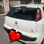 Fiat Punto Evo 5p 1.3 mjt Emotion s&s 95cv - thumbnail 6