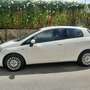 Fiat Punto Evo 5p 1.3 mjt Emotion s&s 95cv - thumbnail 3
