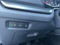 Skoda Octavia Ambition TDI Grau - thumbnail 15