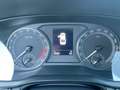 Skoda Octavia Ambition TDI Grau - thumbnail 16