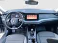 Skoda Octavia Ambition TDI Grau - thumbnail 13