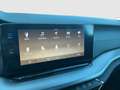 Skoda Octavia Ambition TDI Grau - thumbnail 21