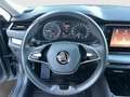 Skoda Octavia Ambition TDI Grau - thumbnail 14