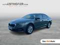 Skoda Octavia Ambition TDI Grau - thumbnail 1