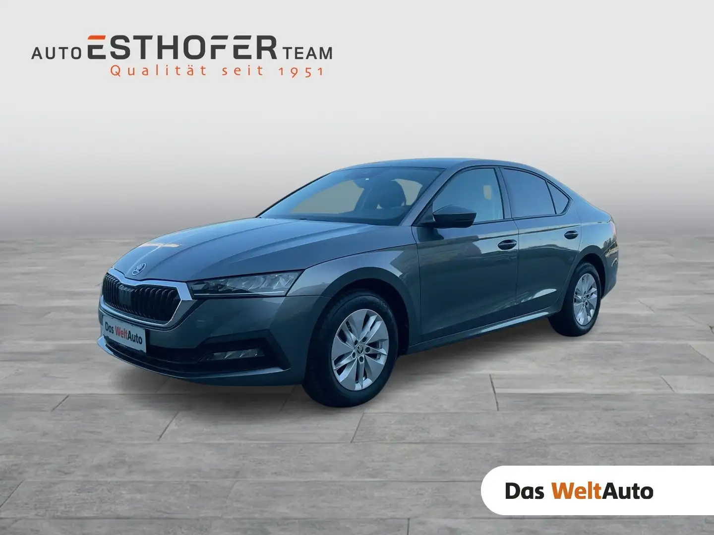 Skoda Octavia Ambition TDI Grau - 1