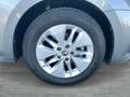 Skoda Octavia Ambition TDI Grau - thumbnail 8